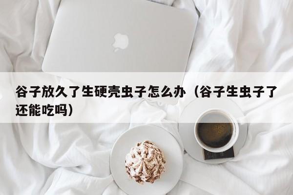 谷子放久了生硬壳虫子怎么办（谷子生虫子了还能吃吗）