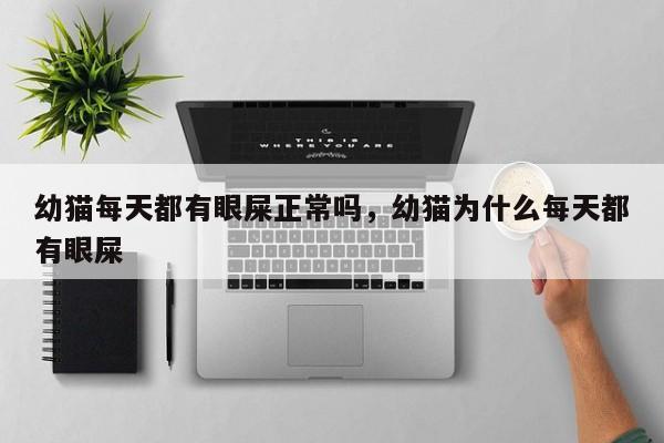 幼猫每天都有眼屎正常吗，幼猫为什么每天都有眼屎