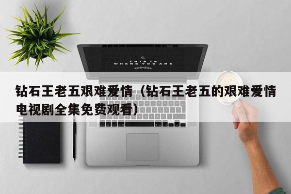 钻石王老五艰难爱情（钻石王老五的艰难爱情电视剧全集免费观看）