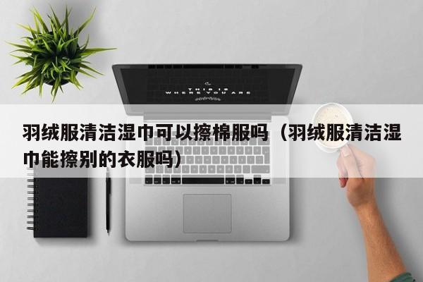 羽绒服清洁湿巾可以擦棉服吗（羽绒服清洁湿巾能擦别的衣服吗）