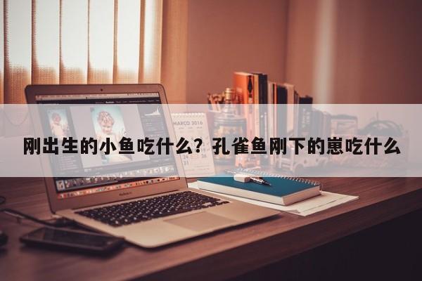 刚出生的小鱼吃什么？孔雀鱼刚下的崽吃什么