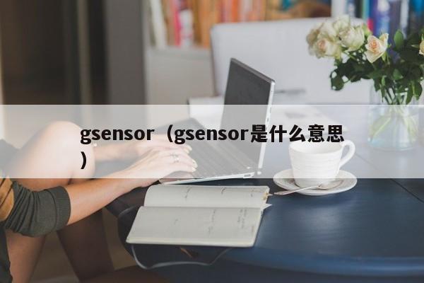 gsensor（gsensor是什么意思）