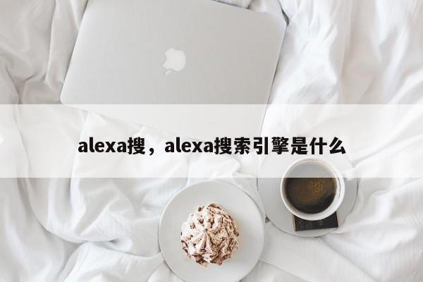 alexa搜，alexa搜索引擎是什么