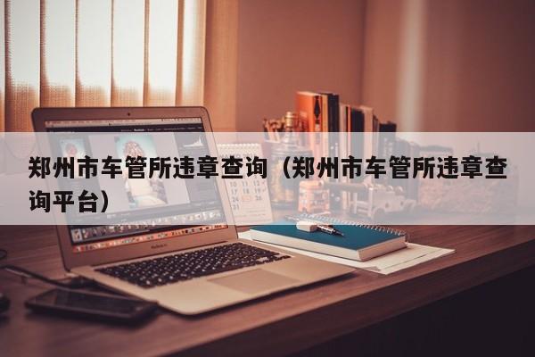 郑州市车管所违章查询（郑州市车管所违章查询平台）