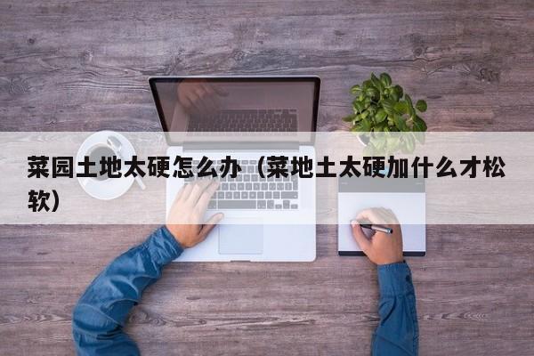 菜园土地太硬怎么办（菜地土太硬加什么才松软）