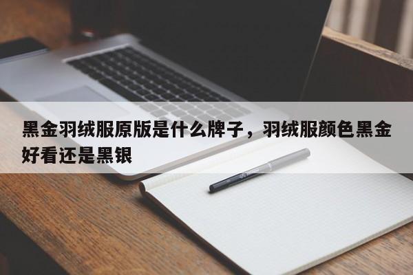 黑金羽绒服原版是什么牌子，羽绒服颜色黑金好看还是黑银