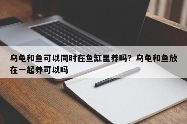 乌龟和鱼可以同时在鱼缸里养吗？乌龟和鱼放在一起养可以吗
