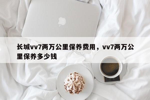 长城vv7两万公里保养费用，vv7两万公里保养多少钱