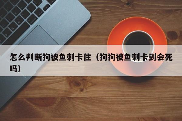 怎么判断狗被鱼刺卡住（狗狗被鱼刺卡到会死吗）