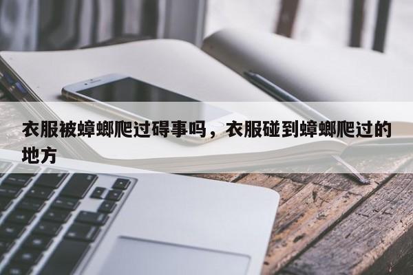 衣服被蟑螂爬过碍事吗，衣服碰到蟑螂爬过的地方