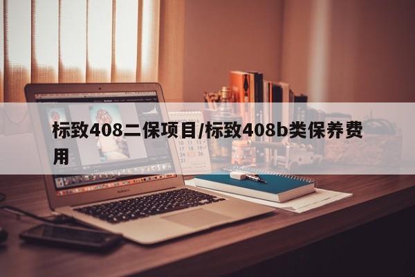 标致408二保项目/标致408b类保养费用