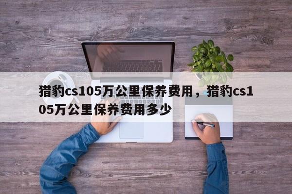 猎豹cs105万公里保养费用，猎豹cs105万公里保养费用多少